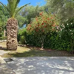 Apartament Alexander *