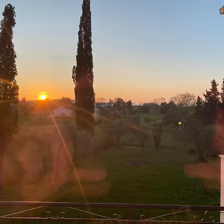 Апартаменты Alexander *