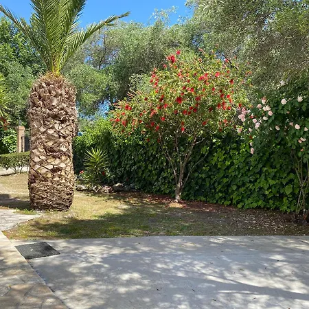 Апартаменты Alexander *